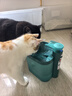 SMARTTAIL宠物猫咪饮水机智能无线喂水器自动循环不插电无线感应猫咪饮水机 实拍图