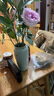 京东鲜花 北欧复古陶瓷花瓶简约装饰干花陶罐水养鲜花客厅插花器轻奢摆件 实拍图