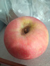 京鲜生 陕西洛川苹果红富士  净重5斤  单果200g+ 生鲜水果 实拍图