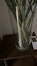 京东鲜花花瓶防摔透明亚克力水培插花大号花瓶桶摆件富贵竹马醉木水养鲜花 实拍图