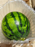 京鲜生 无籽麒麟西瓜 1粒装 单果5-7斤 生鲜水果 实拍图