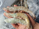 东上御品虾 青岛大虾基围虾鲜活青虾白虾海虾对虾冰虾冻虾生鲜 虾类 海鲜 3.6斤(净重)  盐冻大虾【单只冻】 17-21cm【特大虾皇】 实拍图
