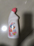 卫驰花香除臭洁厕剂马桶除垢厕所卫生间除菌洁厕灵挂壁洁厕液持久 400克*1瓶【试用装】 实拍图