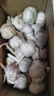 京鲜生山东金乡大蒜带皮新鲜干蒜净重3斤单果4.5cm起源头直发包邮 实拍图