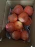 京鲜生 陕西洛川红富士苹果 净重10斤 单果200g 生鲜水果 实拍图