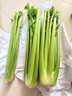 京鲜生山东新鲜大西芹净重4.5斤榨汁现挖芹菜鲜嫩蔬菜 去半叶源头直发 实拍图