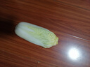云南高原娃娃菜新鲜蔬菜生鲜乾隆白菜早餐火锅必备产地直发 浅黄色 新鲜娃娃菜3颗装*2包 实拍图