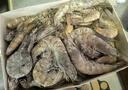 卖鱼郎先生青岛盐冻大虾净重3.6斤 10-15只/斤 白虾大虾基围虾生鲜 虾类 实拍图