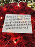 幽客玉品鲜花速递红玫瑰花束表白送女友老婆生日礼物全国同城配送 33朵红玫瑰花束—女王款 实拍图