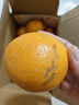 正宗赣南早脐橙整箱新鲜早橙子赣州产地直发超甜皮薄多汁水果礼盒 净重4.5斤小果（单个110g以上） 实拍图