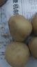 京喜加新鲜黄心土豆农家自种黄皮马铃薯黄心洋芋新鲜蔬菜 250g 实拍图
