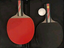 京东京造 雨燕一星乒乓球拍双拍2只装横直对拍训练套装双面反胶1星 横直板 实拍图