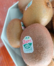 佳沛（zespri）新西兰  阳光金奇异果25-27粒原箱特大果单果约122-146g  猕猴桃 实拍图