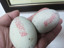 鄱湖鸭舍 无铅松花蛋皮蛋溏心松花皮蛋无铅工艺变蛋厂家麻鸭蛋批发 60-70克/枚【10枚-优惠】 实拍图