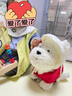 babycare&bct儿童毛绒玩具狗电子哈基米宠物玩偶节日生日七夕礼物西高地犬 实拍图