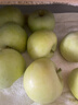 京地达山西青苹果 净重4.5斤单果130g起小苹果现摘酸甜脆爽源头直发包邮 实拍图