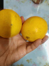 江西赣南早脐橙整箱当季新鲜早橙子榨汁水果礼盒皮薄多汁节日团购 【实惠】净重9斤单个150g+ 实拍图