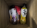 元气森林肖战同款气泡水480ml*5瓶15瓶混合装夏黑葡萄白桃柠檬可乐味气泡 3-5口味混合480ml*15瓶/箱 实拍图