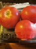 番茄约500g 实拍图