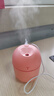 加湿器家用空气加湿器净化器香薰机空调房加湿器喷雾器usb静音卧室孕妇婴儿喷雾宿舍学生女生礼物 标准款【少女粉220ML+纳米雾化+静音加湿】 实拍图