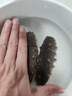 官参堂 大连淡干海参干货 至甄250g 20-35只 底播辽刺参海鲜水产简装 实拍图