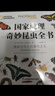 国家地理奇妙昆虫全书 实拍图