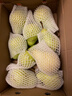 京鲜生 山东烟台太婆梨 净重3斤 单果120g+  生鲜水果 源头直发 实拍图