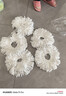 五月花超细纤维拖布头5只装替换旋转拖把头吸水墩布头替换装 实拍图