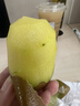 佳沛奇异果新西兰进口阳光金果【JD顺丰-送货上门】黄心猕猴桃 特大果【礼盒】16颗果单果约122-135g 实拍图