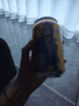 屈臣氏（Watsons）汤力水风味0脂金酒调酒饮料气泡水佐餐330mL*24罐整箱 实拍图