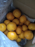 京鲜生 福建永安蜜橘 5斤 单果50g起 橘子/桔子  生鲜水果礼盒 实拍图