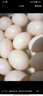 均鲜新鲜土鸽子蛋杂粮喂养农家特产白鸽蛋信鸽蛋孕妇宝宝年货节礼盒装 60枚1220g左右精选鲜鸽蛋 实拍图