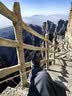 乐途登山鞋男女鞋秋季皮面户外运动鞋防滑耐磨越野徒步鞋子男深灰42 实拍图