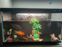 米家（MIJIA）小米米家智能生态鱼缸还原自然生态补仓一次三月无忧出差旅行必备 实拍图
