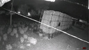 霸天安4G太阳能摄像头 监控室外免插电无需连wifi终身免流量 监控器360度无死角带夜视 全景追踪手机远程 实拍图