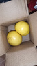 超值黄皮葡萄柚红心蜜柚柚子爆汁新鲜水果酸甜可口久雅 黄皮葡萄柚带箱2斤（2-4枚装） 实拍图