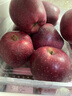 京鲜生 甘肃天水花牛苹果 又大又红 净重4斤装 单果200g起 新鲜水果  实拍图