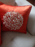 米乐 轻奢刺绣抱枕靠垫布艺沙发靠枕床头办公室护腰靠背汽车腰枕 橘红(圆圈花刺绣) 45cm*45cm 含枕芯 实拍图