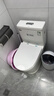 TOTOIS601系列TOTO马桶坐便器家用虹吸式座便静音防臭大管道小户型节水 H款-小户型-8.0排污管 250/300/350/400mm 坑距备注 （包安装） 实拍图