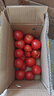 【超市精选】山东沙瓤水果西红柿新鲜番茄蔬菜减肥单果100g起 西红柿中大果 4斤 带箱 实拍图