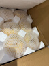 京地达梨砀山酥梨雪梨香梨子水果送礼净重4.8斤单果250g+源头直发 实拍图