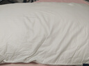 康尔馨希尔顿五星级酒店枕头 抗菌纯棉纤维枕成人家用单人枕头芯 白色 高枕(50*80cm) 单只 实拍图