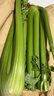 京鲜生山东榨汁大西芹新鲜蔬菜净重9斤源头直发包邮 实拍图