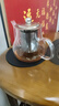 葫仙玻璃泡茶壶耐热耐高温加厚玻璃壶办公家用电陶炉煮茶壶水壶 600ml单壶 实拍图