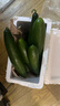 山东寿光水果黄瓜生吃脆新鲜荷兰青瓜当季无刺小黄瓜源头直发 精品水果黄瓜 2斤 实拍图
