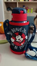 迪士尼（Disney）保温杯儿童水杯水壶学生316L不锈钢吸管直饮杯套礼盒幼儿园650m 实拍图