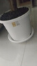 爱丽思花盆塑料圆形树脂多肉花盆种花种菜盆绿萝爱丽丝 白色口径30.1cm 实拍图