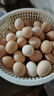 鸭蛋新鲜生鸭蛋60-70g土鸭蛋农家散养青皮白皮生鲜食品超市批发 20枚 实拍图