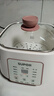 苏泊尔（SUPOR）电炖锅 电炖盅家用煲汤锅炖汤锅 隔水炖锅 煲汤专用电锅全自动陶瓷炖汤盅 DZ25YC828 实拍图