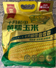 十月稻田 黄糯玉米 3.52斤(220g*8根) 25年新玉米 低脂 早餐零食 东北玉米 实拍图